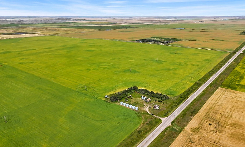 High Quality Farm La...
