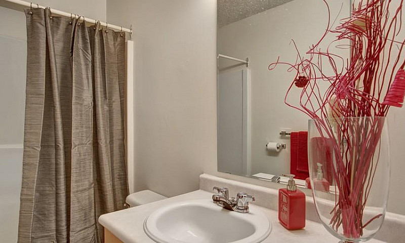 Spacious 1 Bedroom A...
