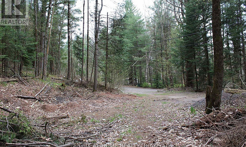 1019 Forrester Trail...