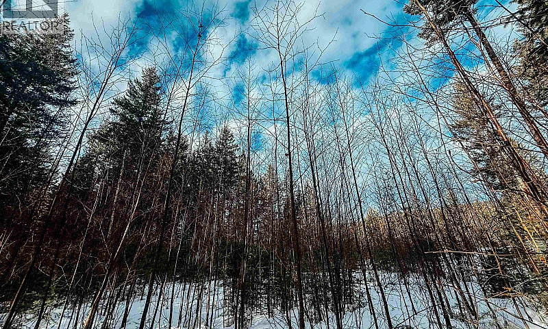 5724 Timothy Lake Ro...
