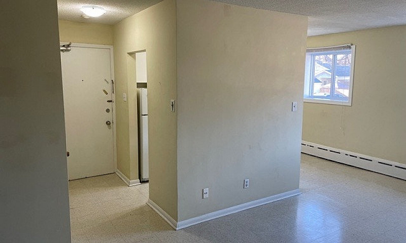 506 Balmoral - 1 Br ...