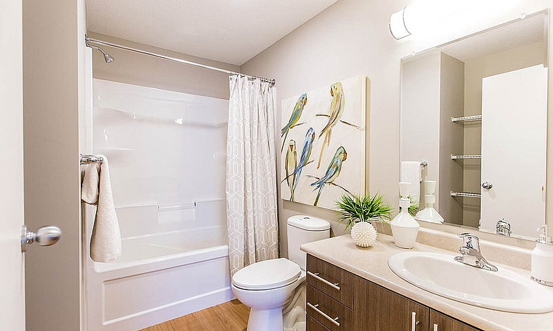 Pet-Friendly One Bed...