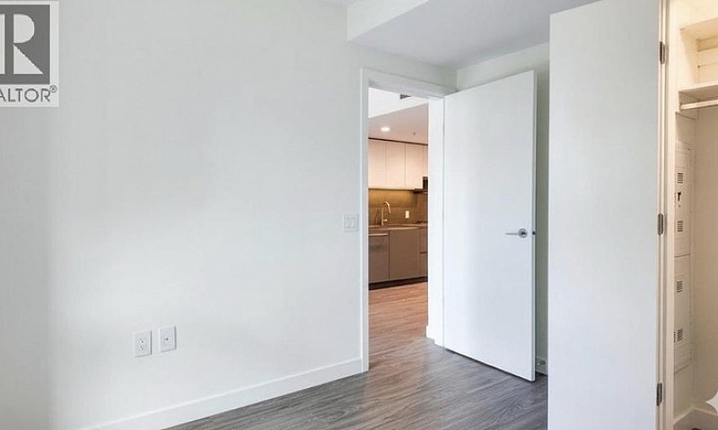 2135 Springer Avenue...