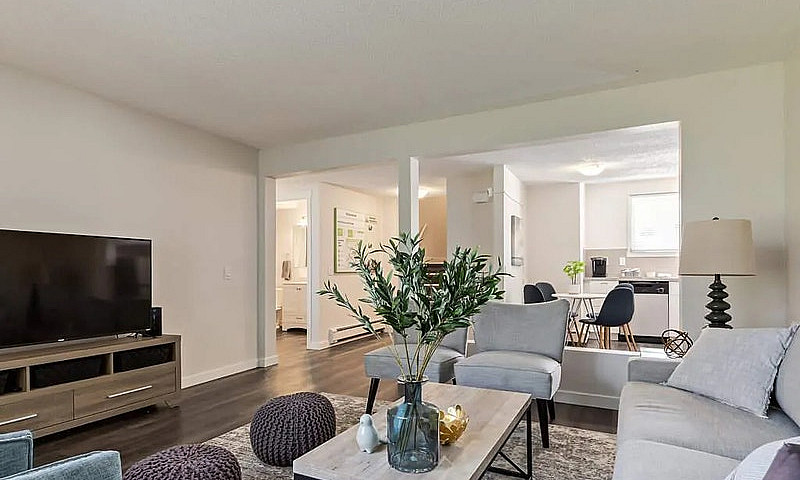 Spacious And Bright ...