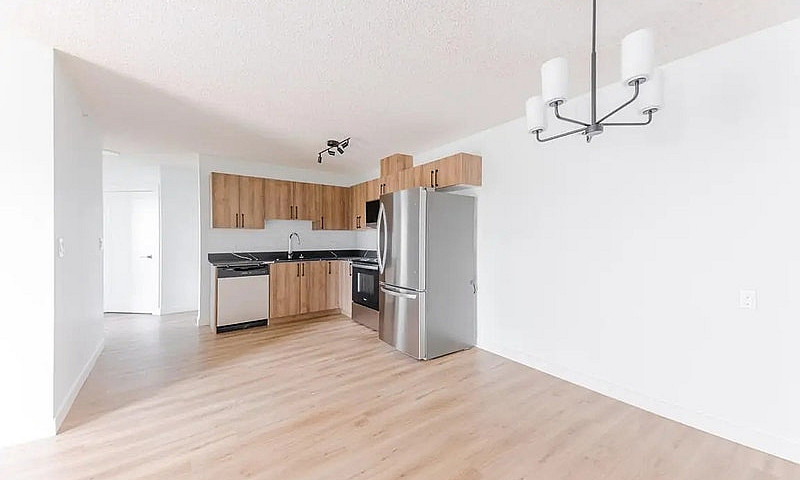 Modern Apartments Wi...