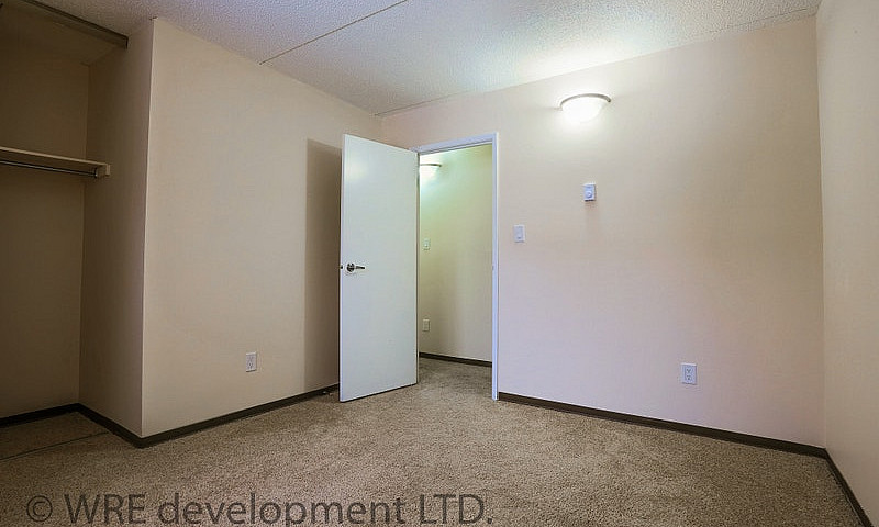 Cameo House: A Quiet...