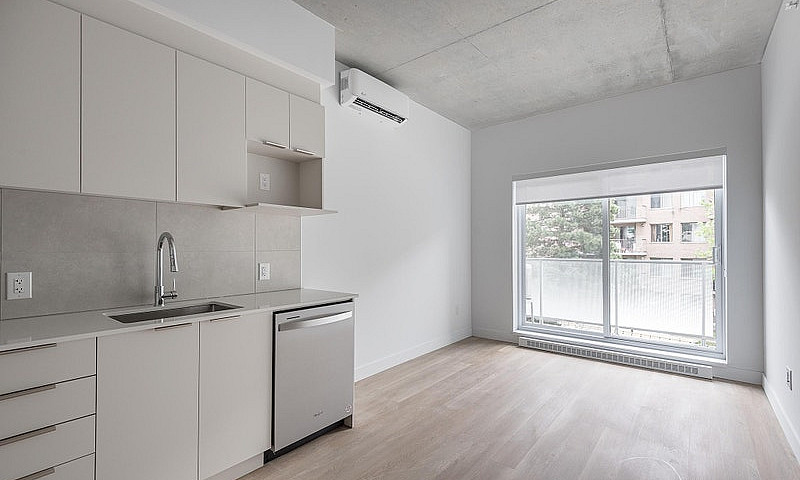 1 Bedroom Apartment ...