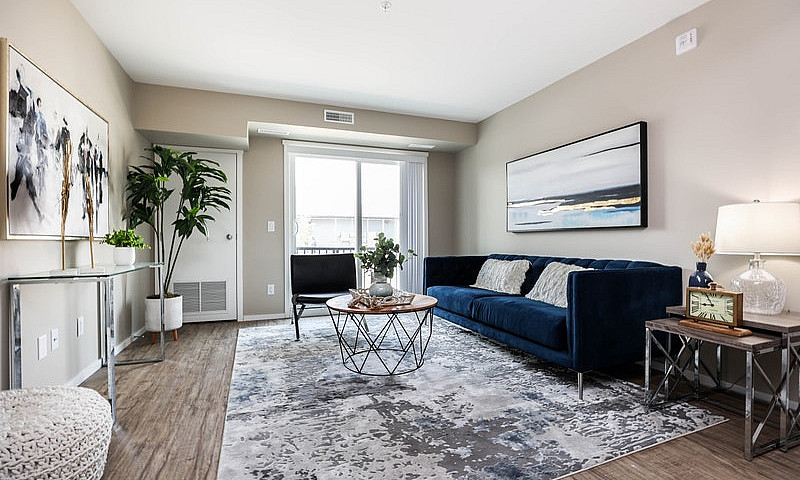 Pet-Friendly Three B...
