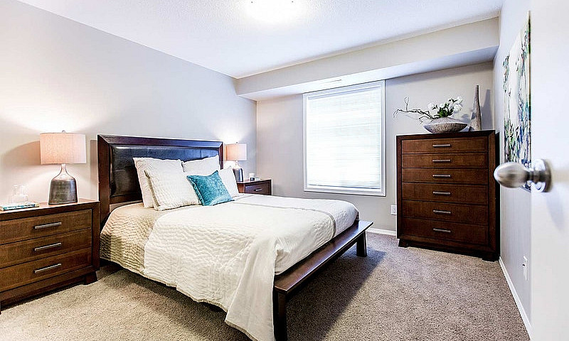 Pet-Friendly One Bed...