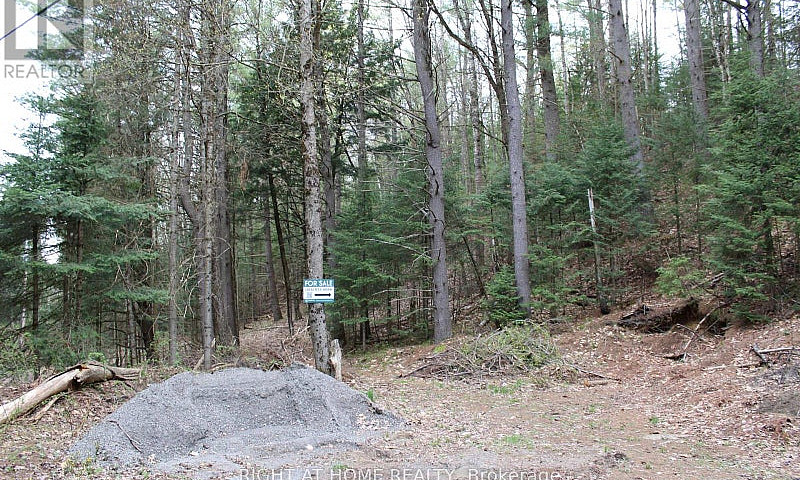 1019 Forrester Trail...