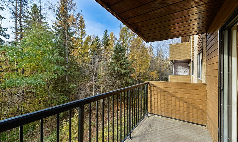 2 Bedroom Basement P...