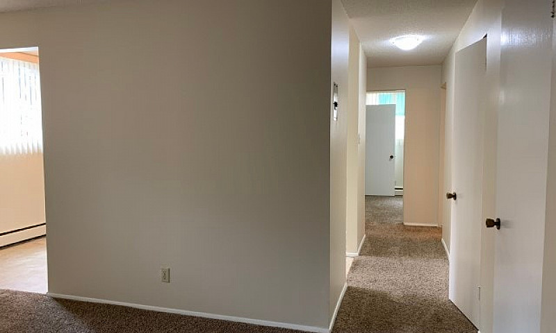5026 43 Street - 9 A...