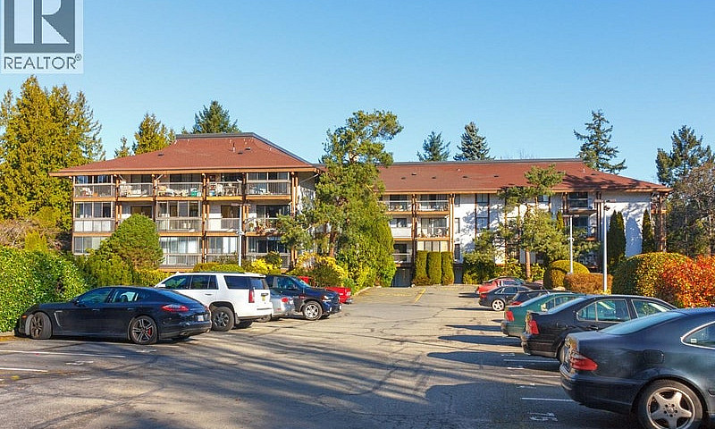 310 1009 Mckenzie Av...