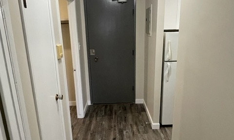 512 Young - 1 Br Ava...