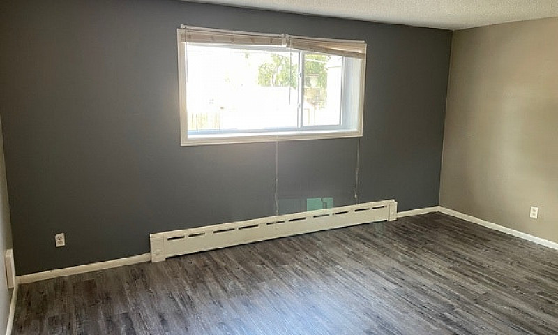 506 Balmoral - 1 Br ...