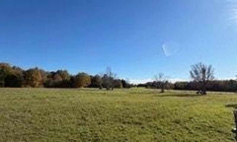 504054 Grey Rd 1 Roa...