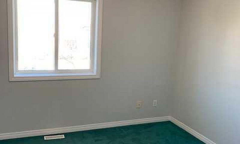 10 Cochrane Road, Wh...