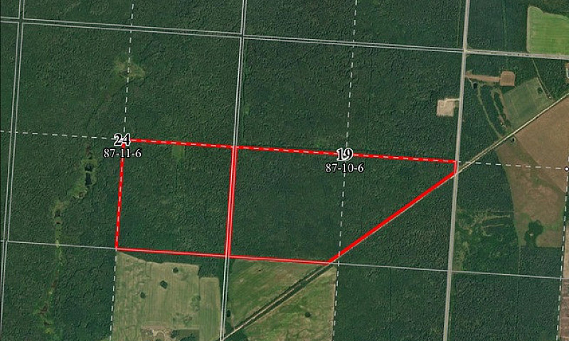 Online Land Auction ...