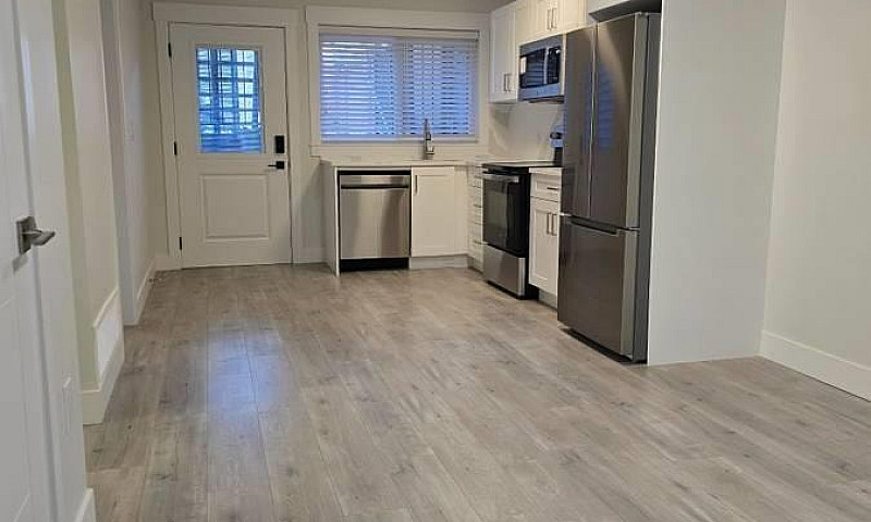 Suite 8668 Machell S...