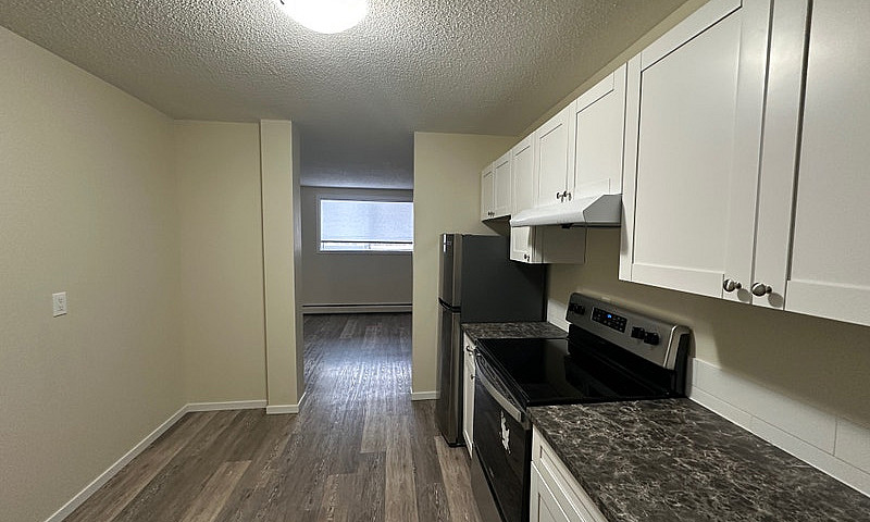 1 Bedroom 1 Bath Apa...