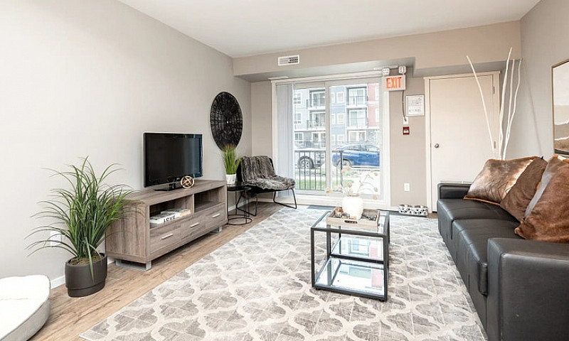 Pet-Friendly One Bed...