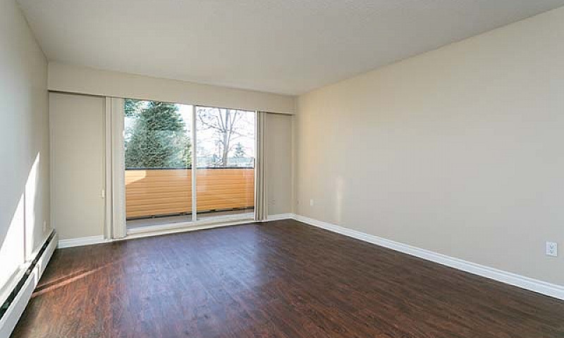 The Westport Apartme...