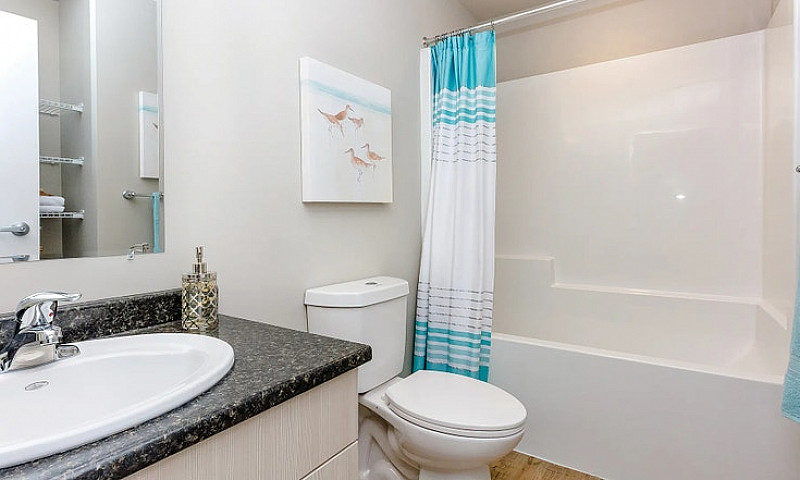 Pet-Friendly Two Bed...