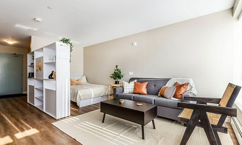 Stylish Studio, Furn...