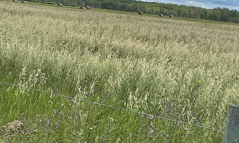 Land For Sale Close ...