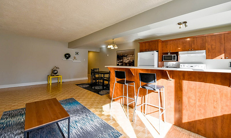 Furnished One Bedroo...