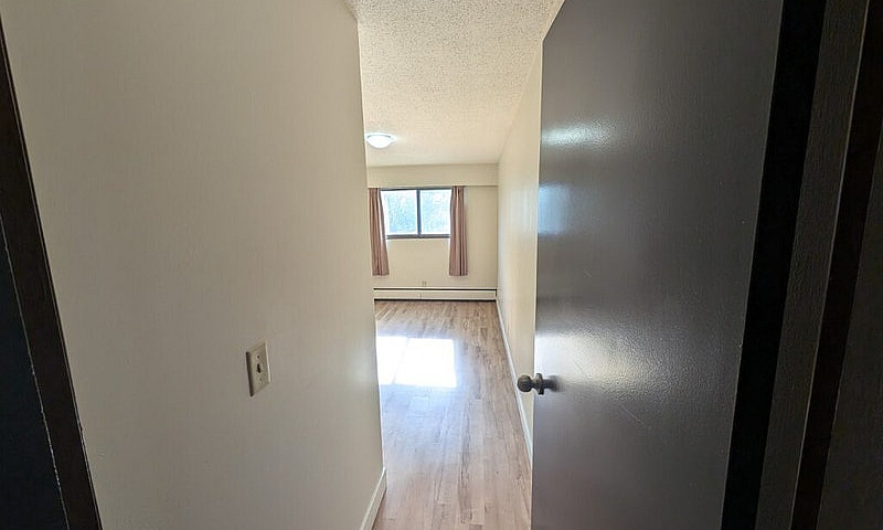 Senior Promo - 2 Bed...