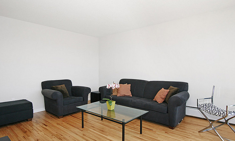 Almata - 1 Bedroom A...