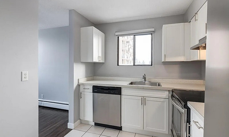 Modern Apartments Ov...