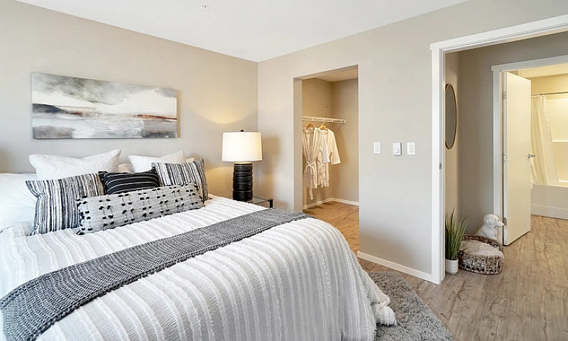 Pet-Friendly One Bed...