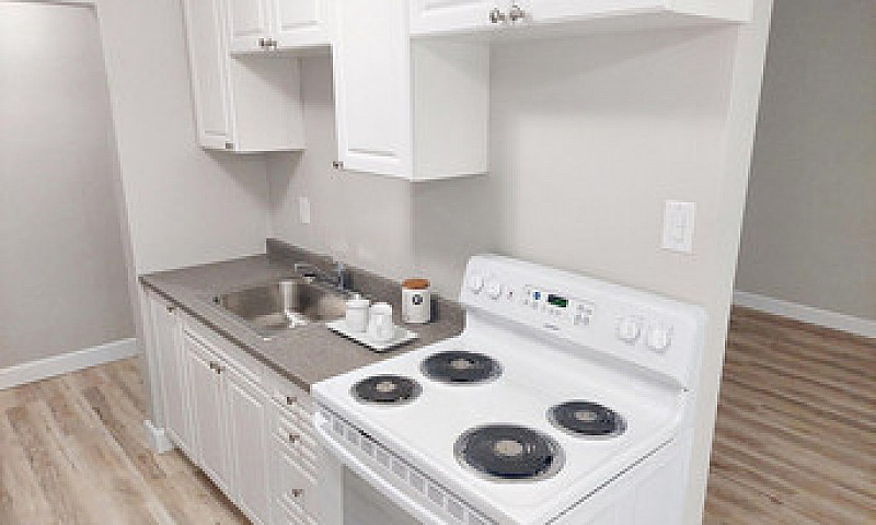 1 Bedroom Apartment ...