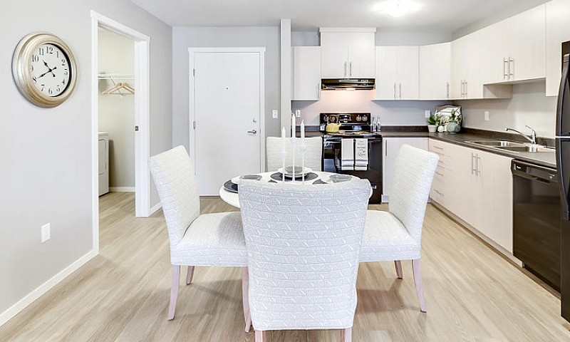 Pet-Friendly One Bed...