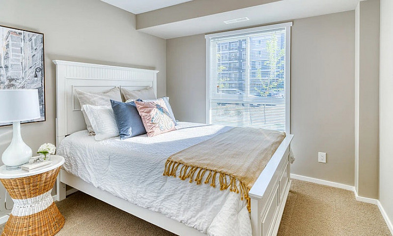 Pet-Friendly Three B...