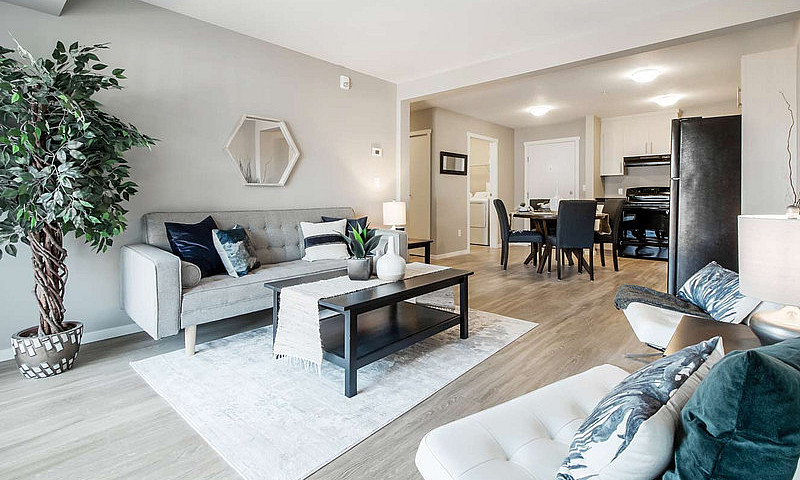 Pet-Friendly One Bed...