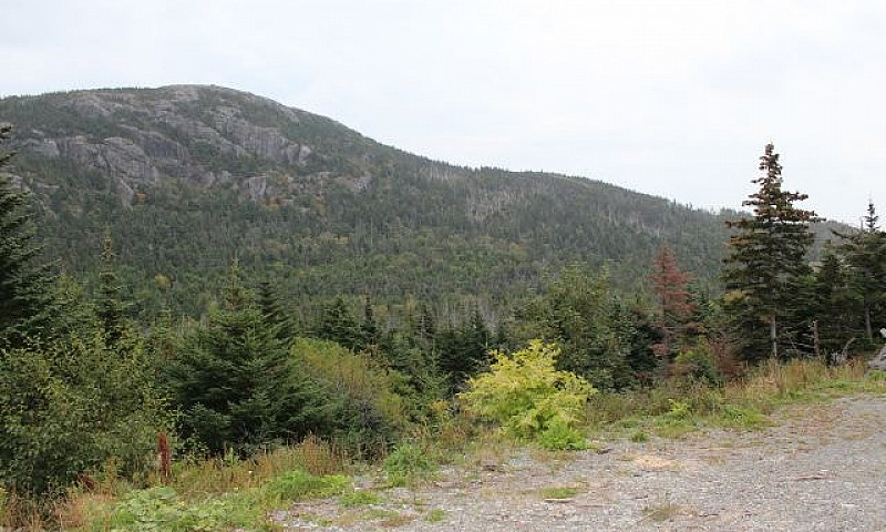 Lot 2 -Beachy Cove B...