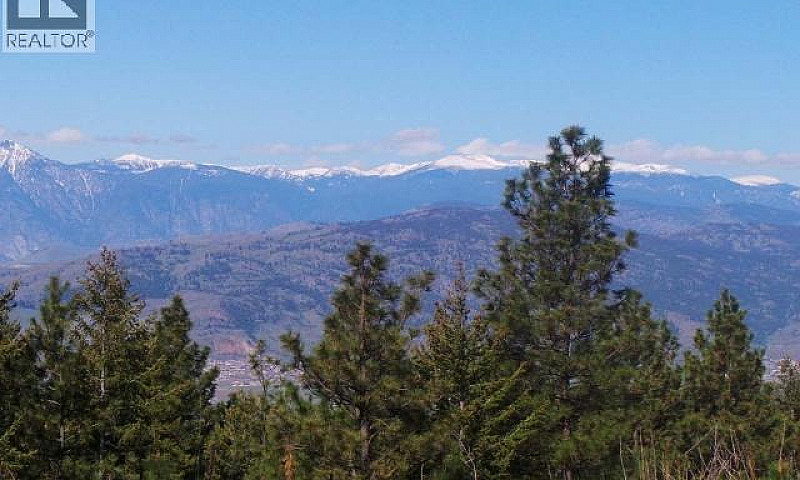 290 Mule Deer Drive ...