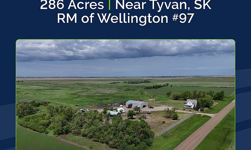 286 Acres & Yard Sit...