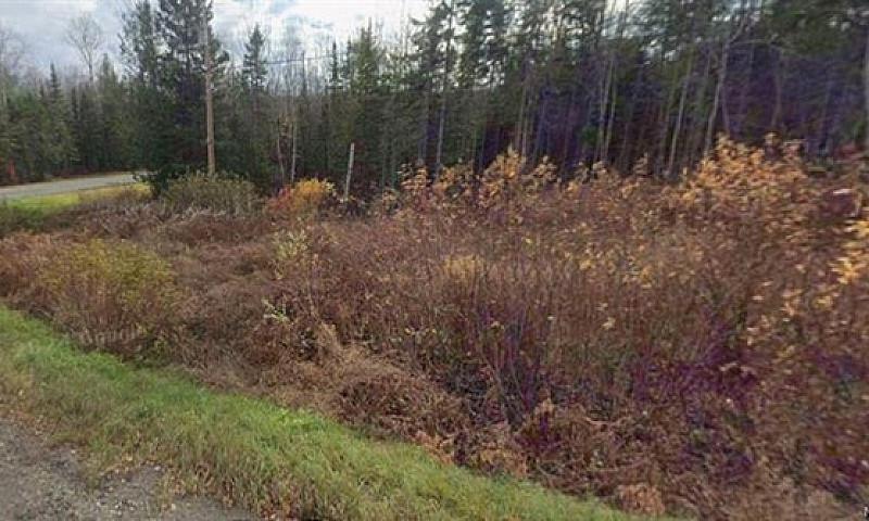 Vacant Lot Mountain ...