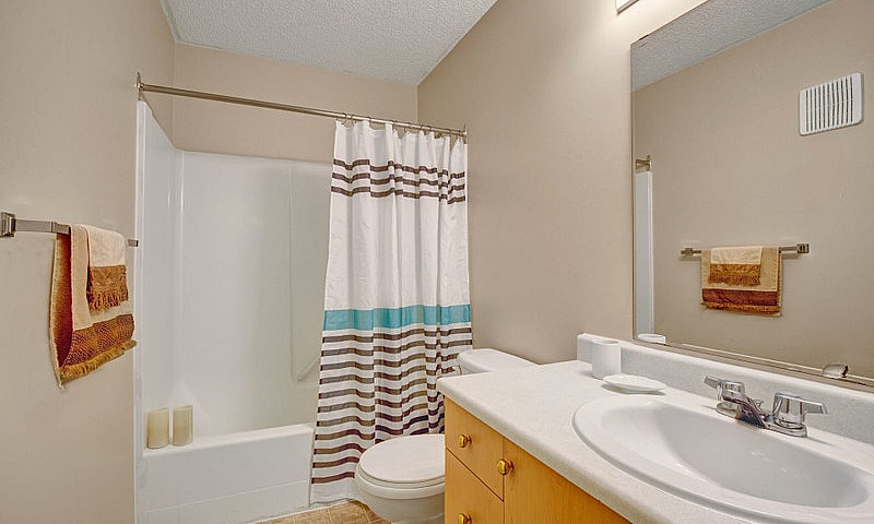 1 Bed X 1 Bath Apart...