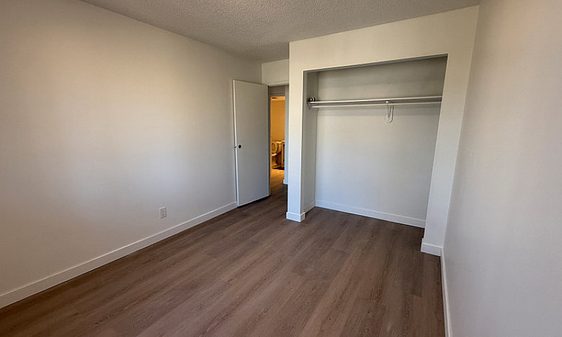 Modern & Spacious 2 ...