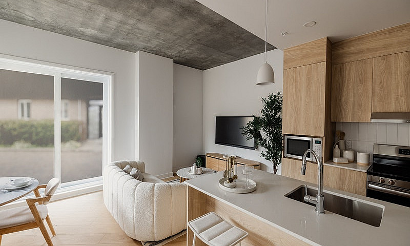 3 1/2, 1 Chambre, A ...