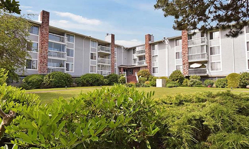 Bright, Spacious Con...