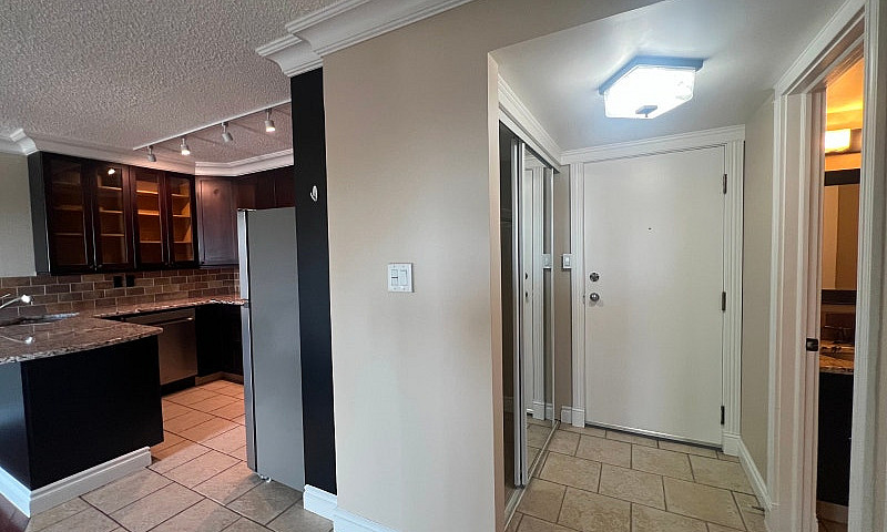 1 Bed 1 Bath Availab...