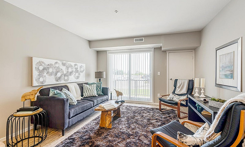 Pet-Friendly Three B...