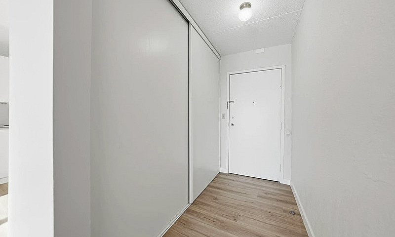Modern Apartments Wi...