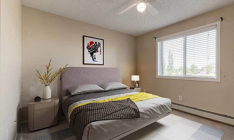 Modern Apartments Wi...